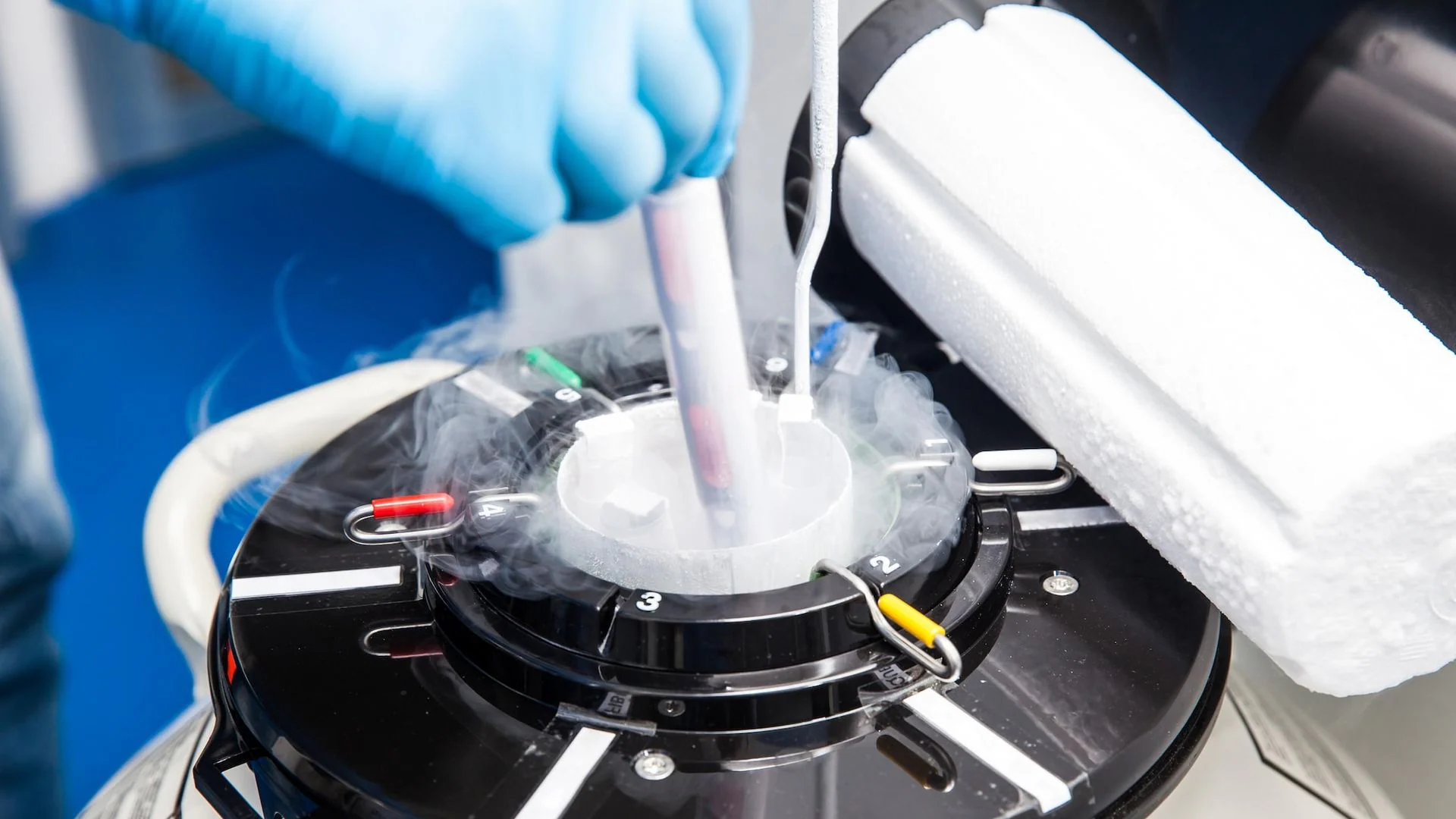 bajafertility-services