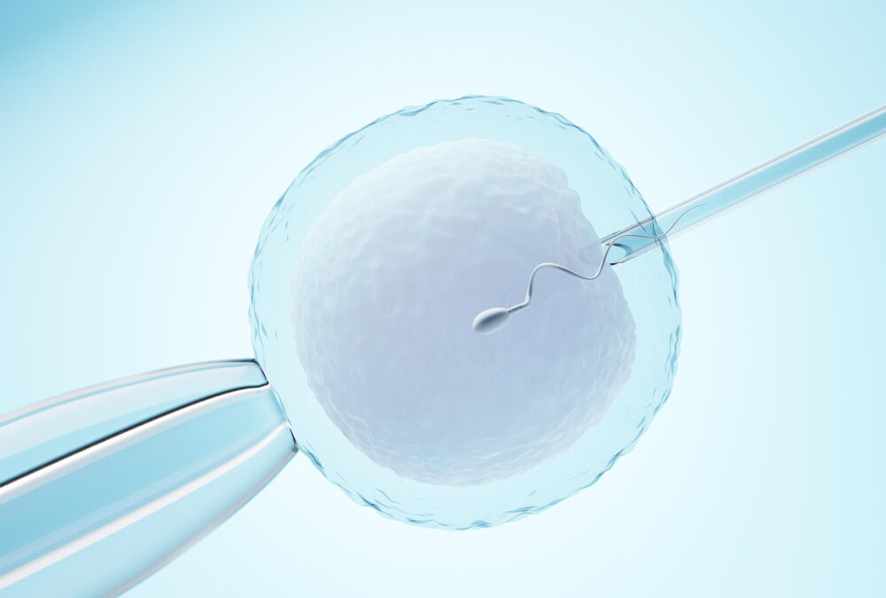 ¿Qué es la fertilización in vitro (FIV) y cuándo se recomienda?